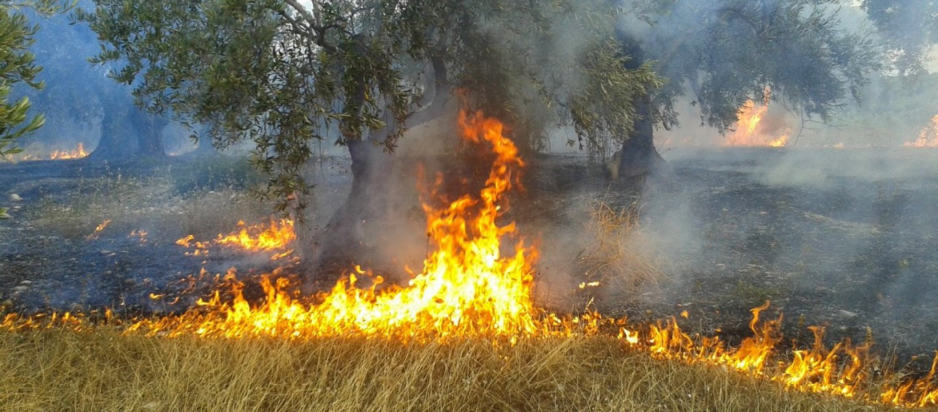 Υπό μερικό έλεγχο τέθηκε η φωτιά στην Μάνη (φωτό)